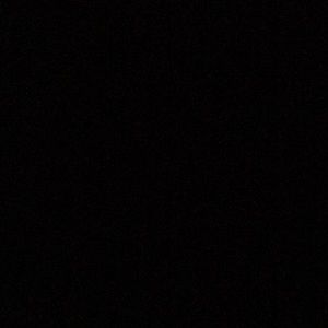 Meet your Posher, Regfie